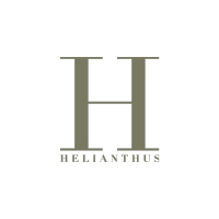 helianthus a large H to represent Helianthus written in green brown